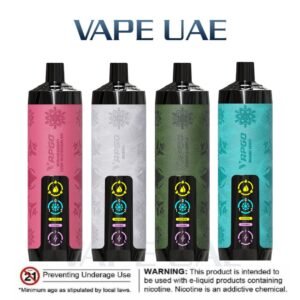 Vapgo Bar Chill Shisha 30000 Puffs Disposable Vape in UAE