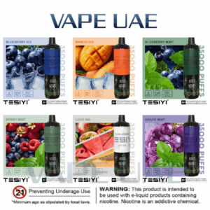 Tesiyi Ultra Shisha 35000 Puffs Disposable Vape In UAE