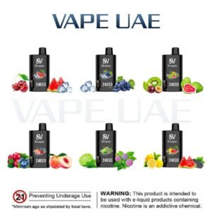 Silvaper 24000 Puffs Disposable Vape In UAE