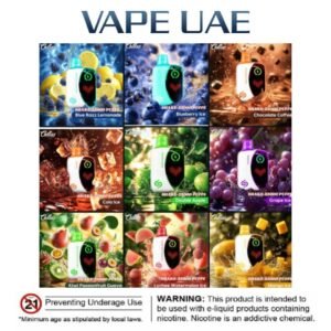 Chillax Shake 22000 Puffs Disposable Vape