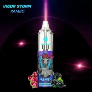 Blueberry Raspberry Lemonade