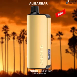 California Sunset – INGOT 9000