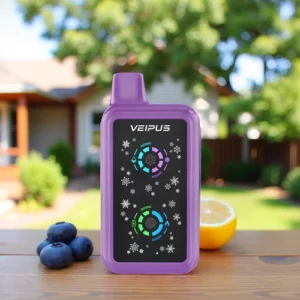 Blueberry Lemonade – BUSSIN