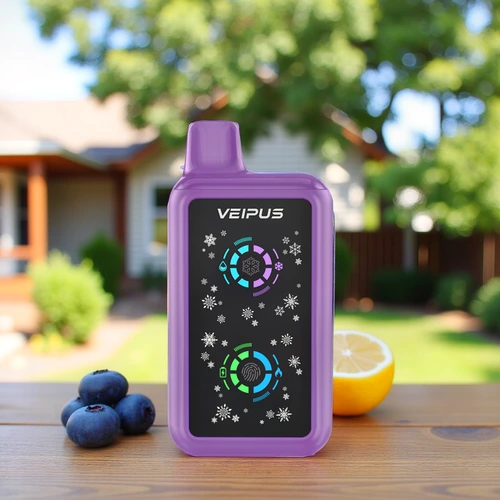 Blueberry Lemonade – BUSSIN