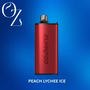 Peach Lychee Ice – GUNNPOD EVO